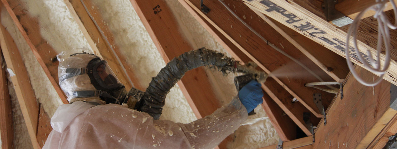 Las Vegas Nevada Attic Insulation Spray Foam